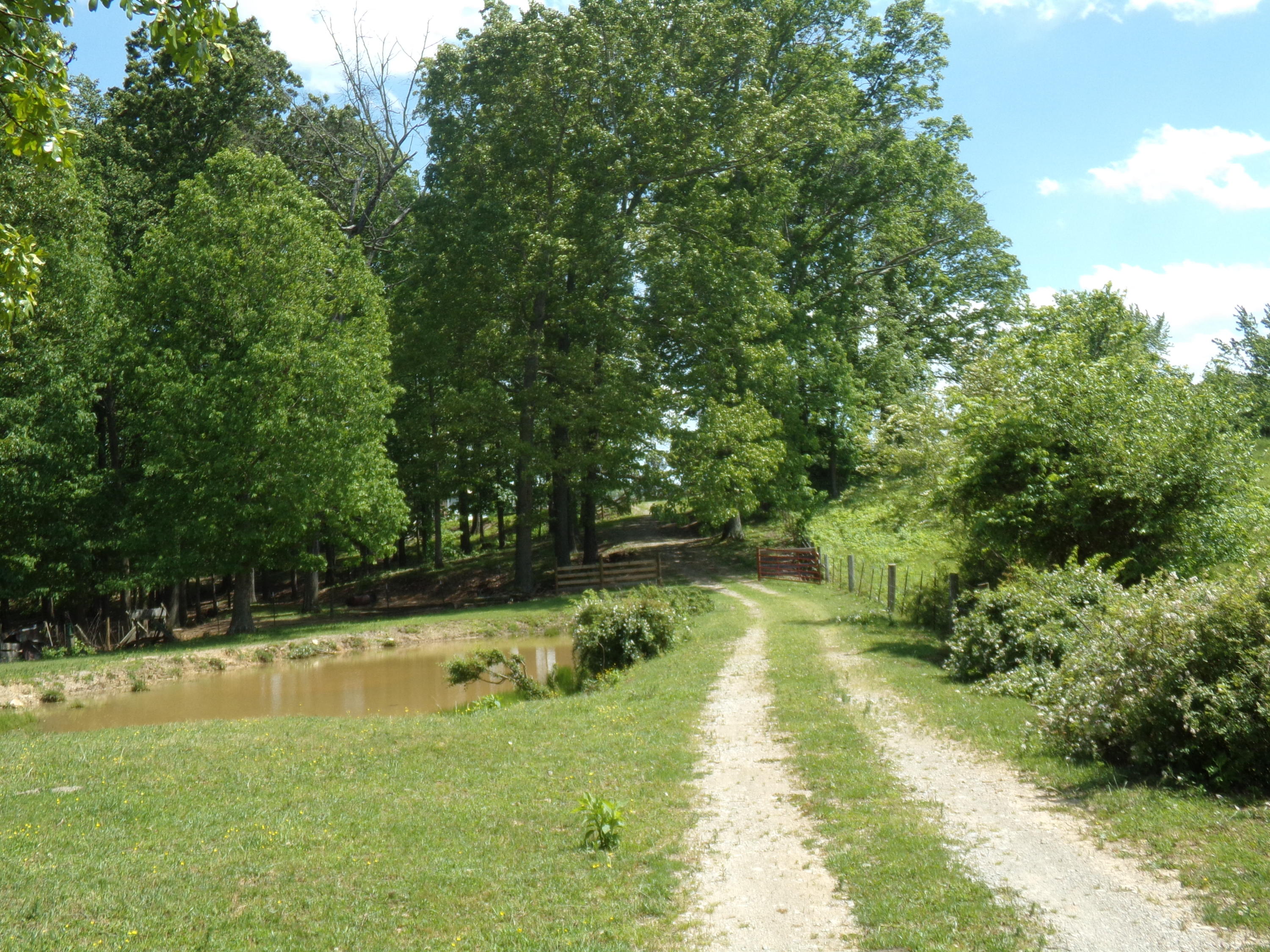 Camp Ridge Road La Follette, TN 37766 - Photo 35 of 37 100_0267