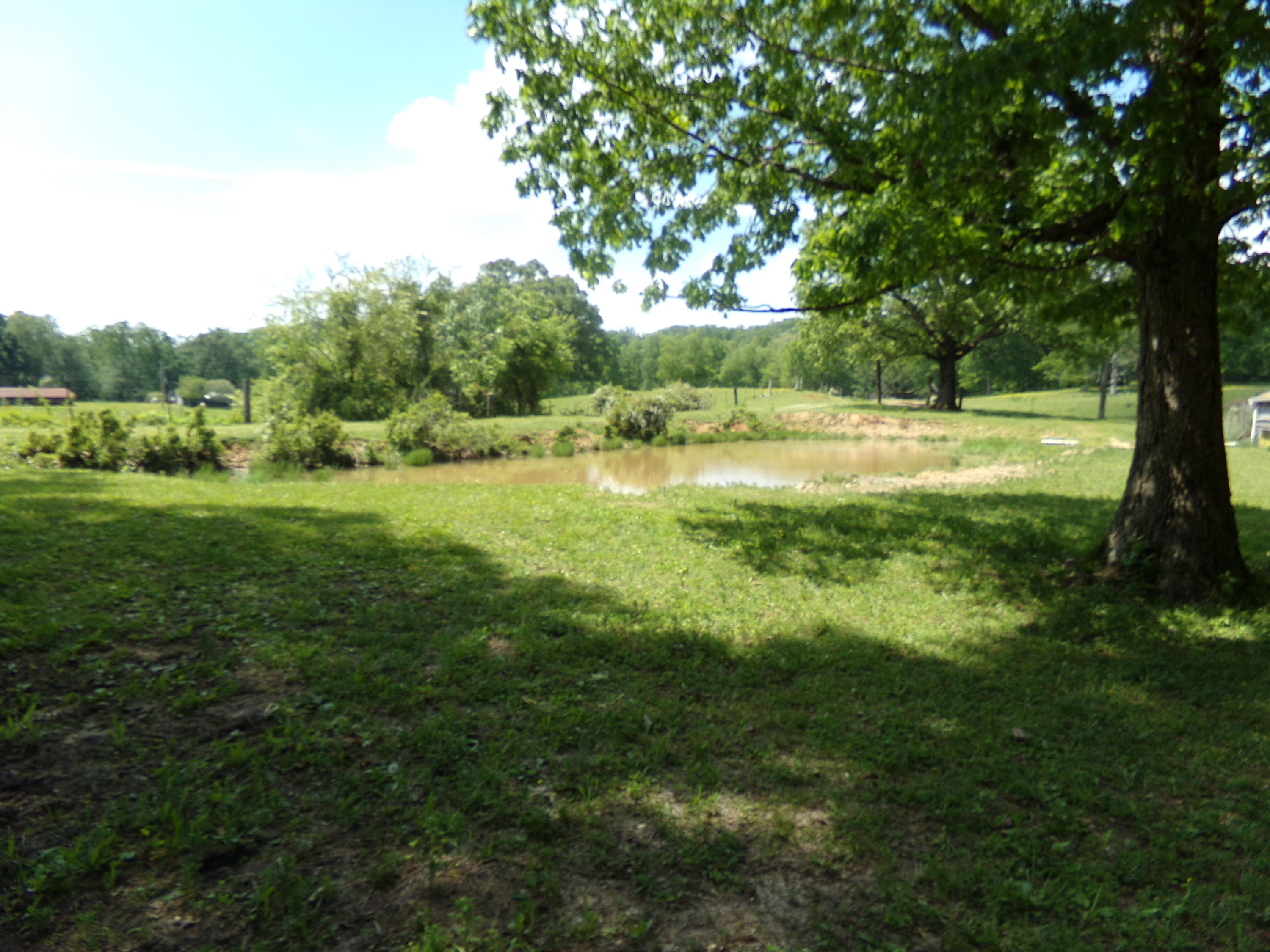 Camp Ridge Road La Follette, TN 37766 - Photo 36 of 37 100_0268