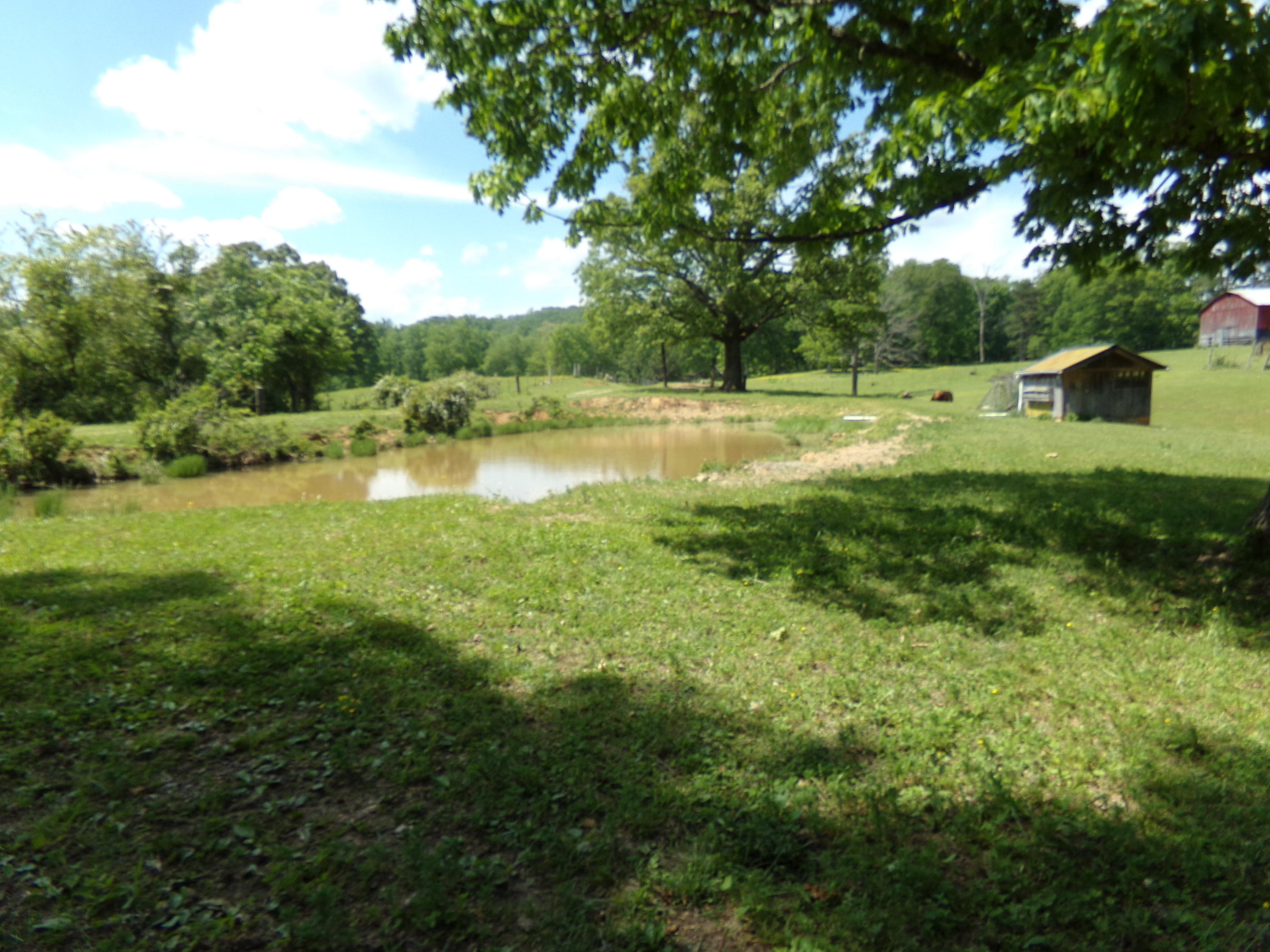 Camp Ridge Road La Follette, TN 37766 - Photo 37 of 37 100_0269