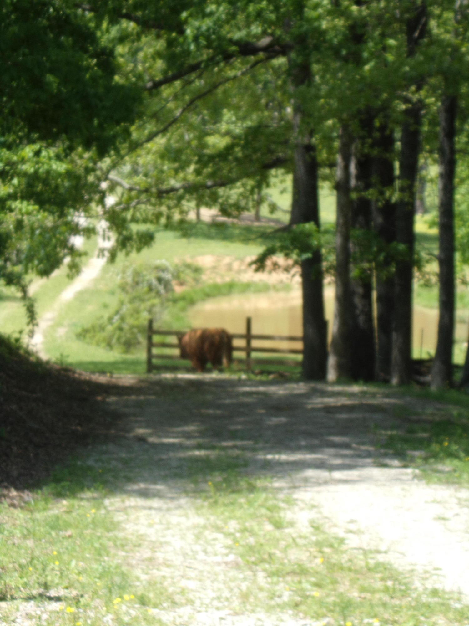 Camp Ridge Road La Follette, TN 37766 - Photo 4 of 37 100_0233
