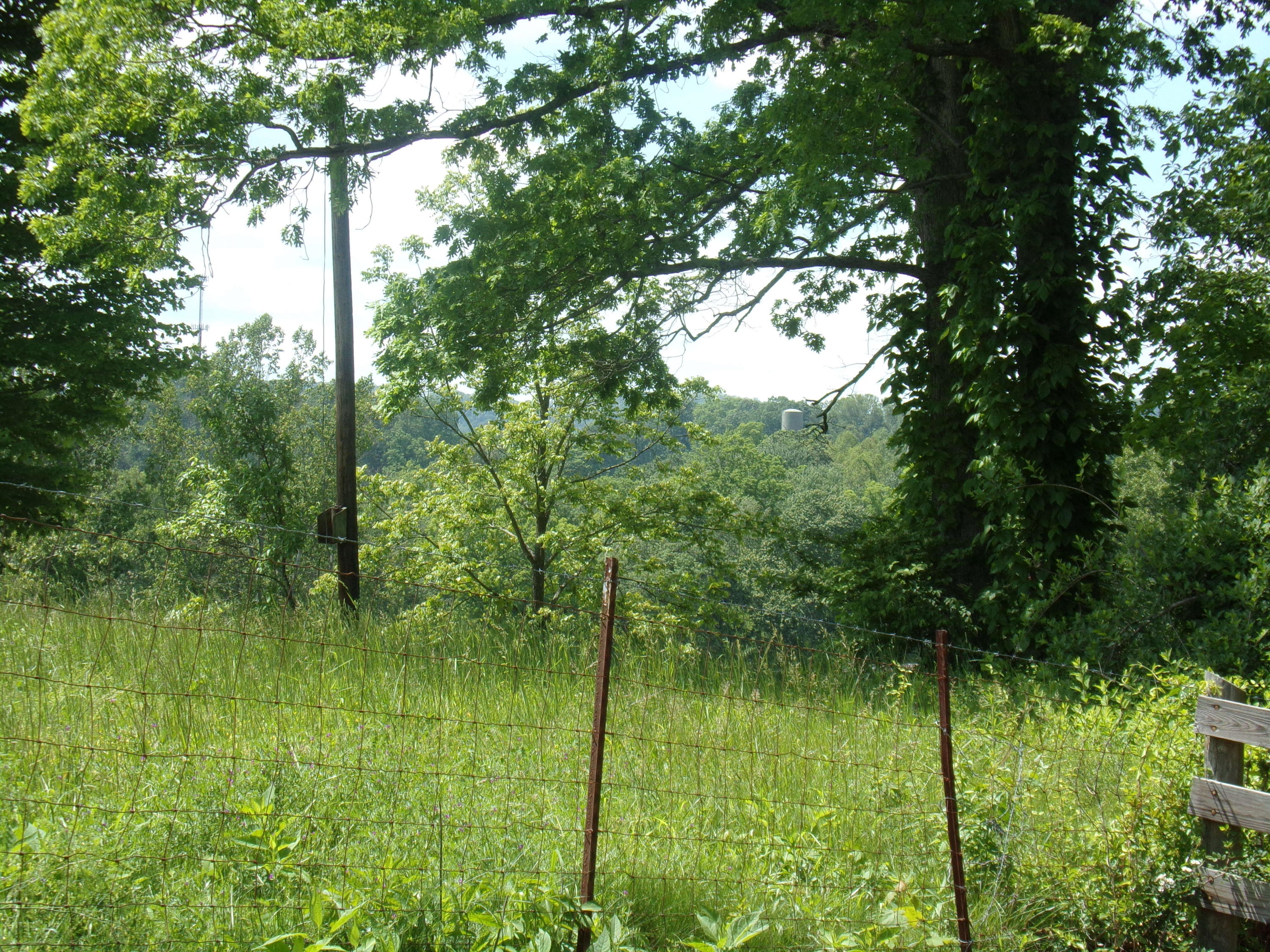 Camp Ridge Road La Follette, TN 37766 - Photo 5 of 37 100_0234