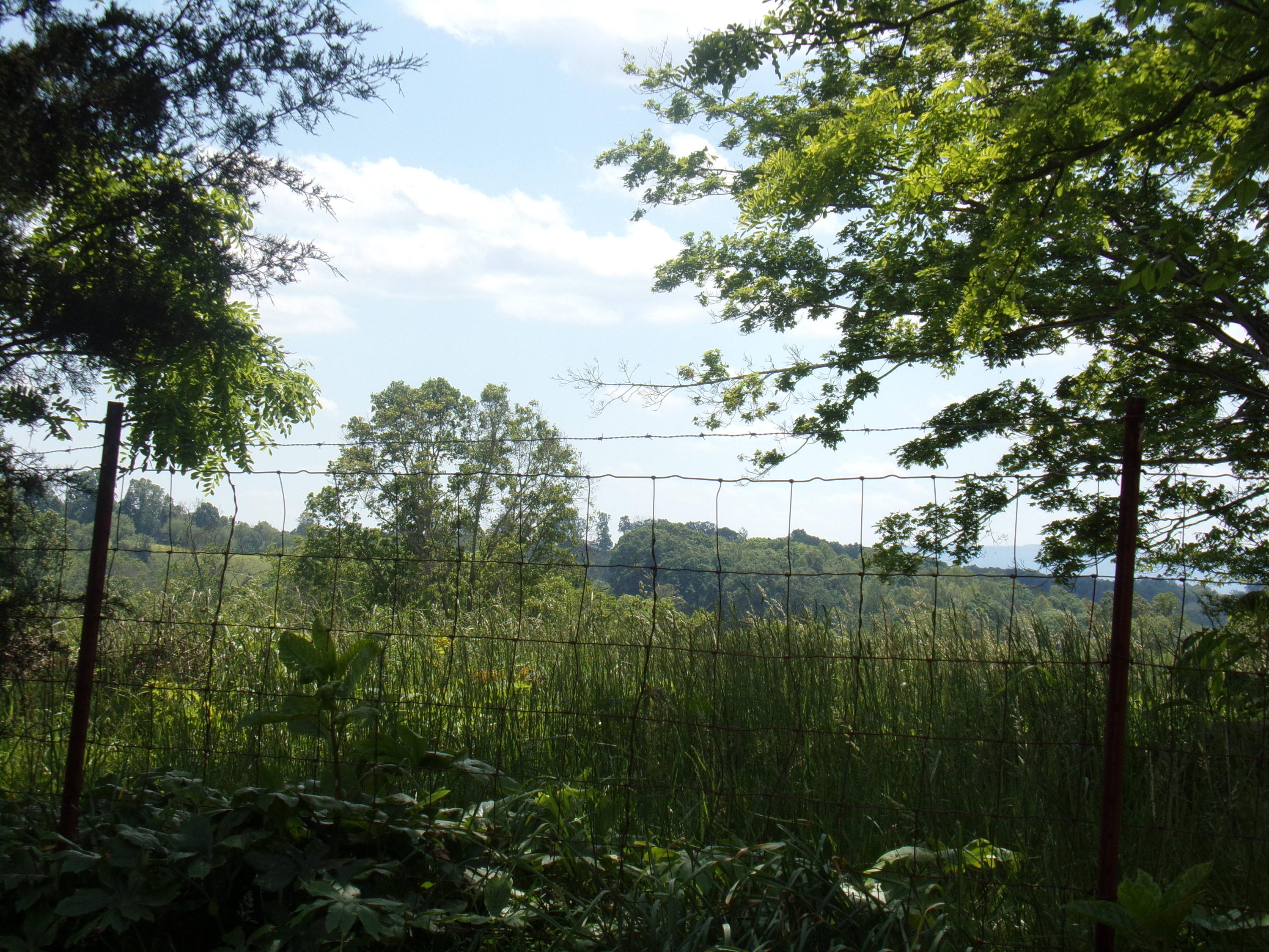 Camp Ridge Road La Follette, TN 37766 - Photo 6 of 37 100_0235