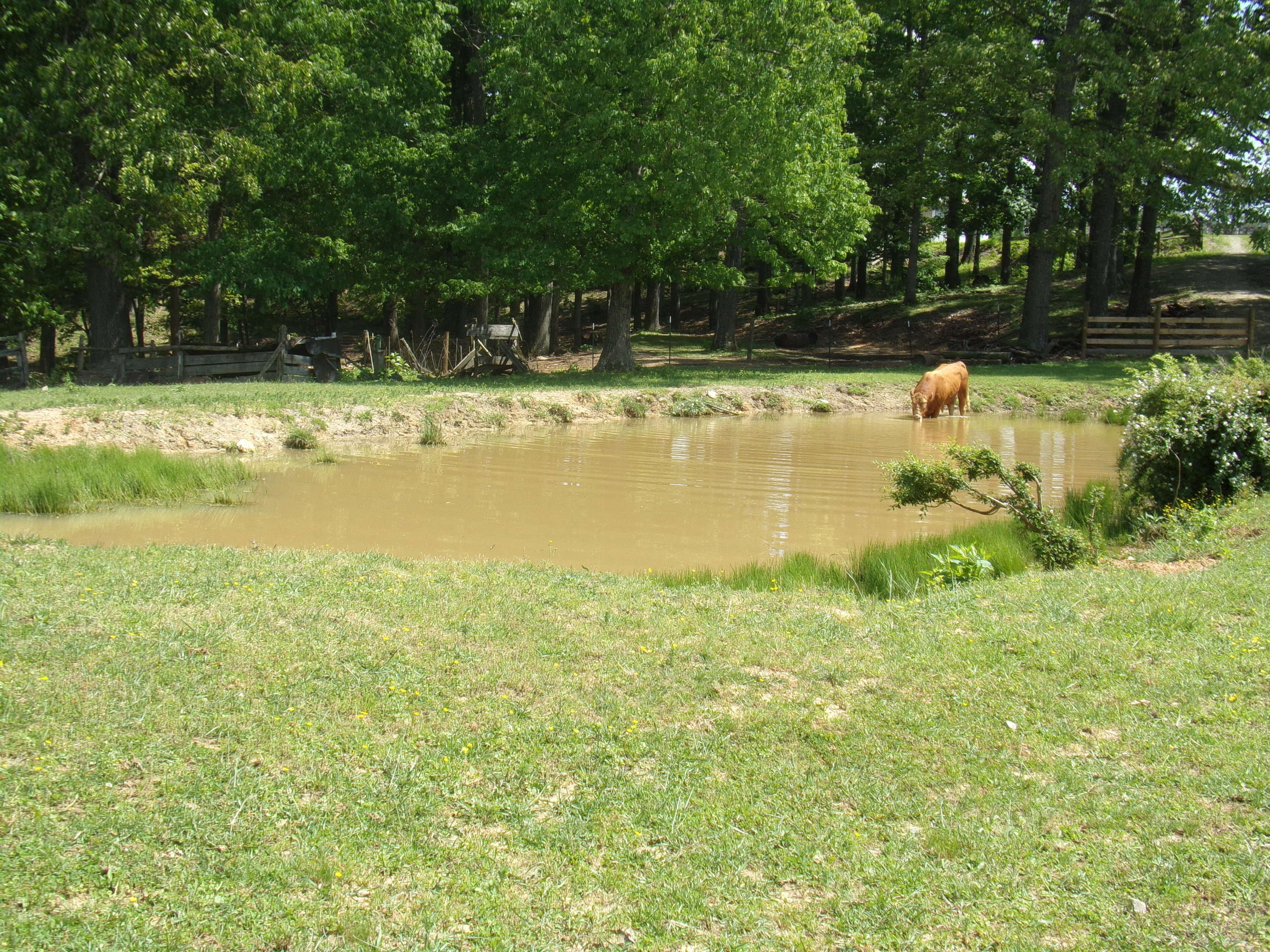 Camp Ridge Road La Follette, TN 37766 - Photo 7 of 37 100_0236