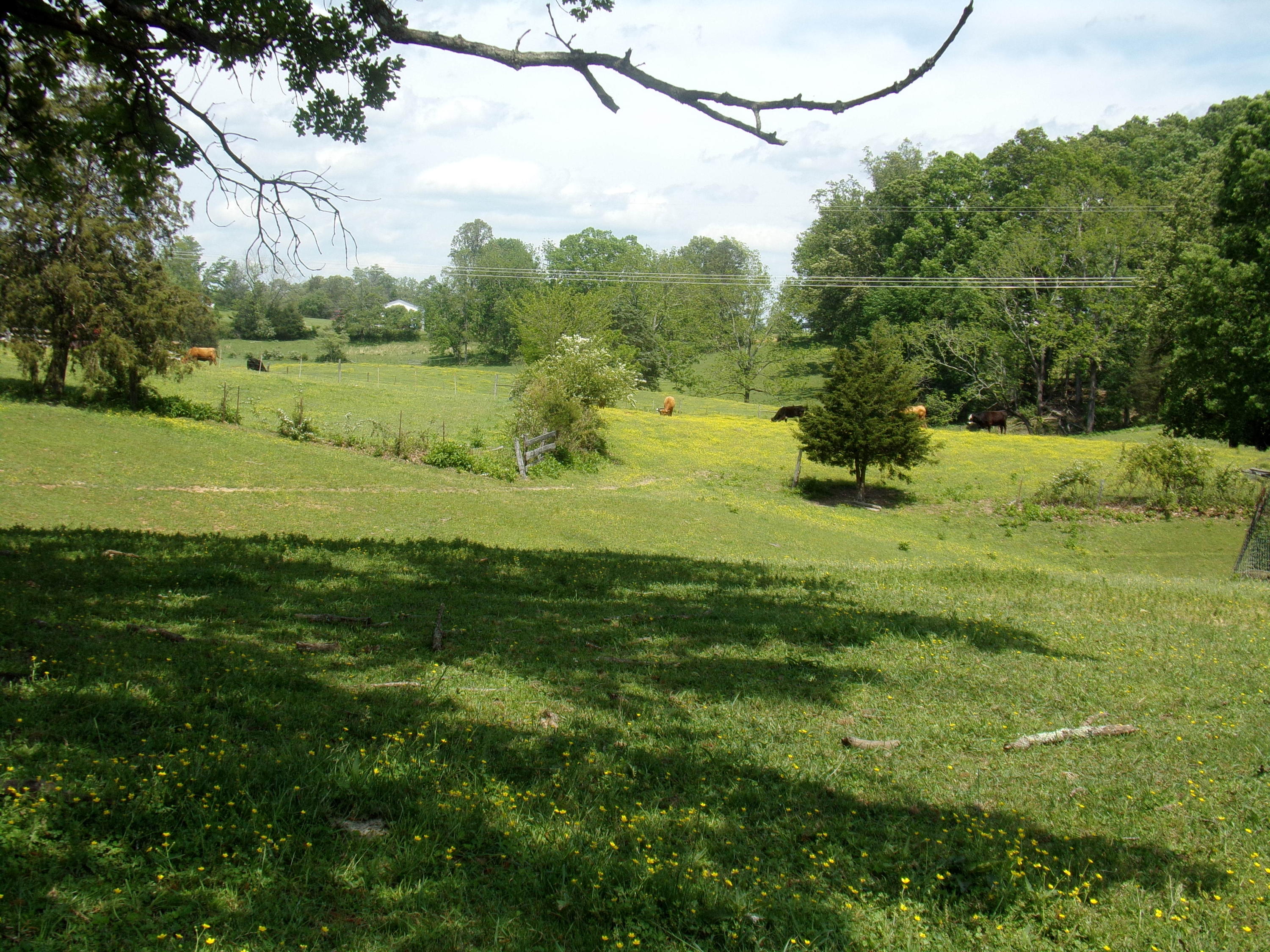Camp Ridge Road La Follette, TN 37766 - Photo 8 of 37 100_0237