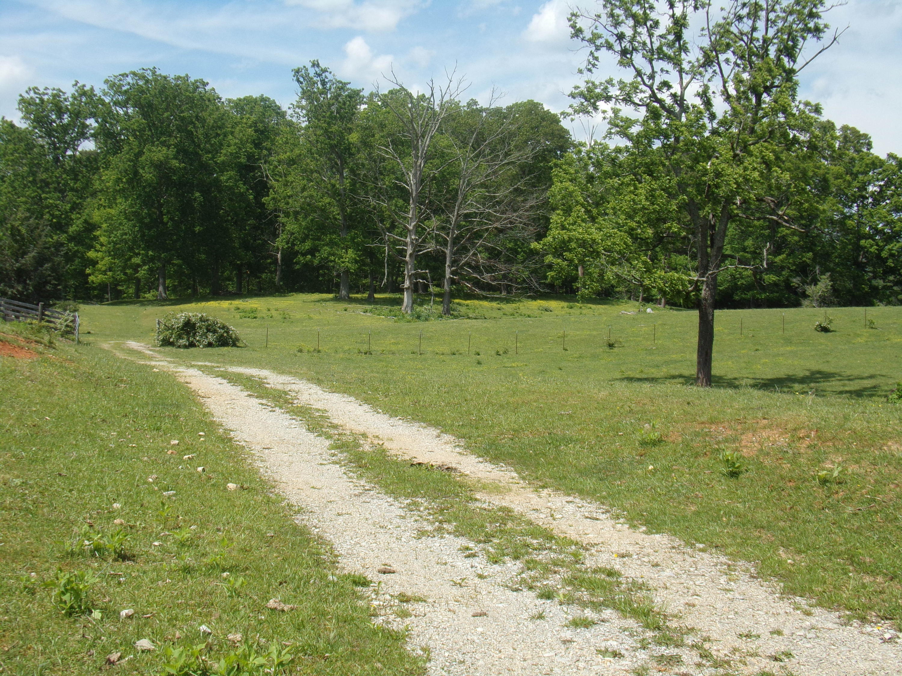 Camp Ridge Road La Follette, TN 37766 - Photo 10 of 37 100_0241