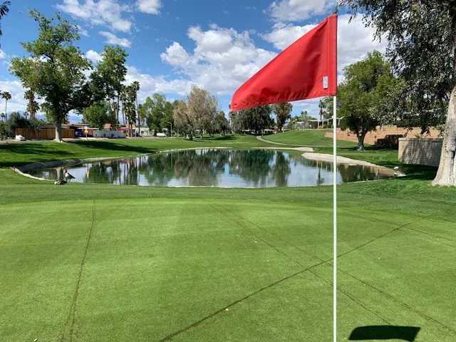 a view of a palm trees in front of the house