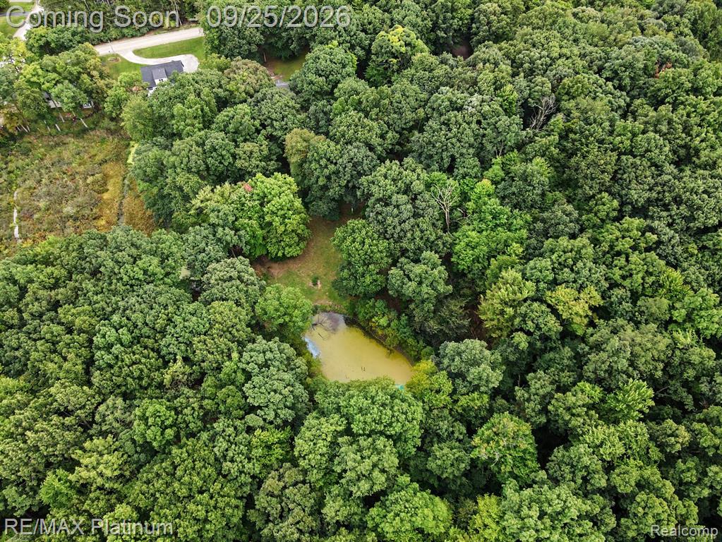 5338 King Road Howell, MI 48843 - Photo 30 of 30 Gallery Image 30