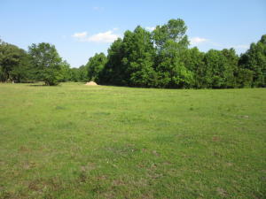 C Oak Willie Road Hollywood, SC 29449 - Photo 1 of 4 Oak Willie Vacant Land