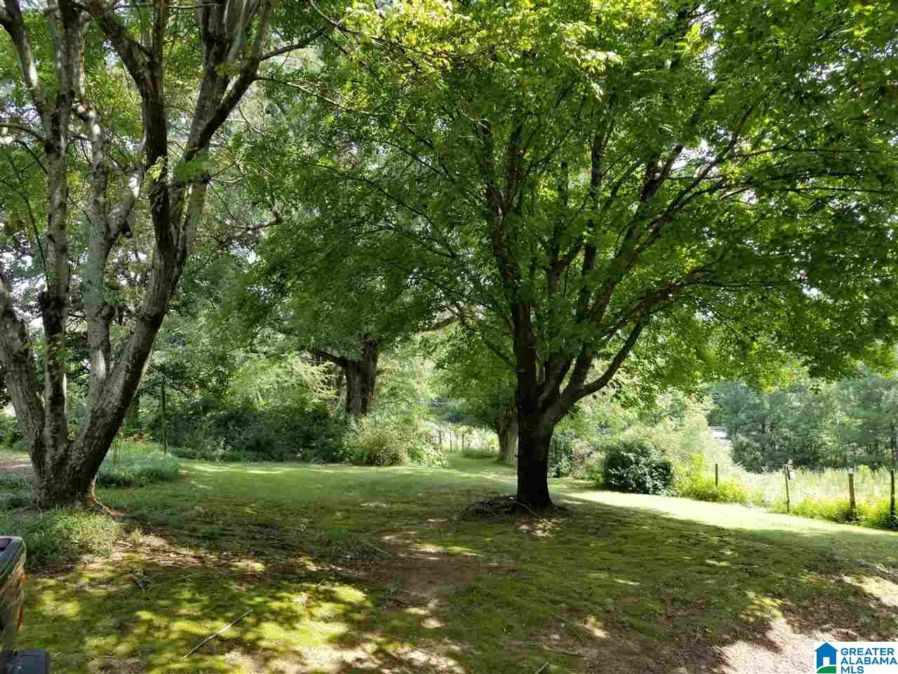 321 County Road 1147 Cullman, AL 35057 - Photo 5 of 32