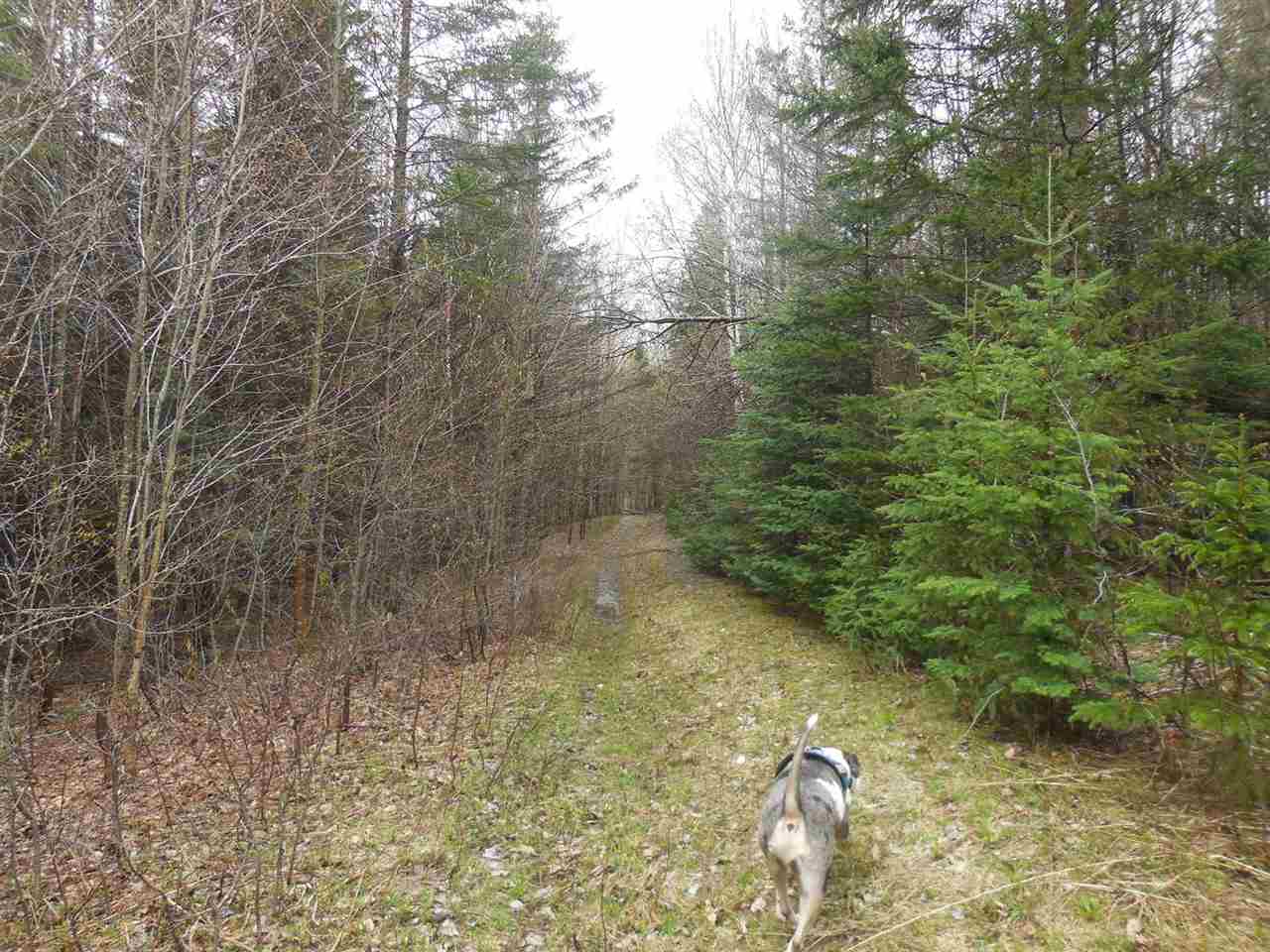 0 Fish Pond Road West Topsham, VT 05086 - Photo 2 of 35