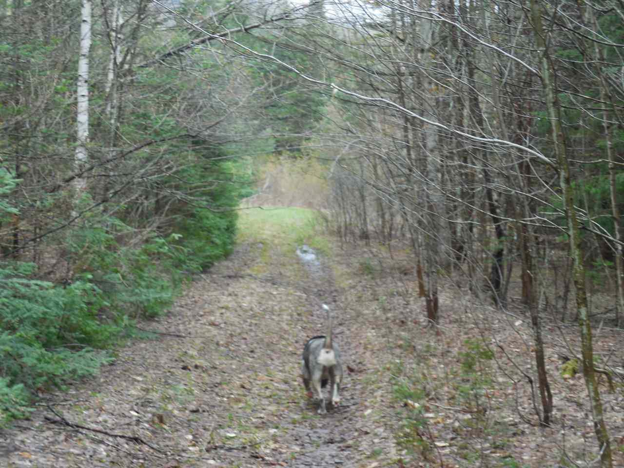 0 Fish Pond Road West Topsham, VT 05086 - Photo 12 of 35