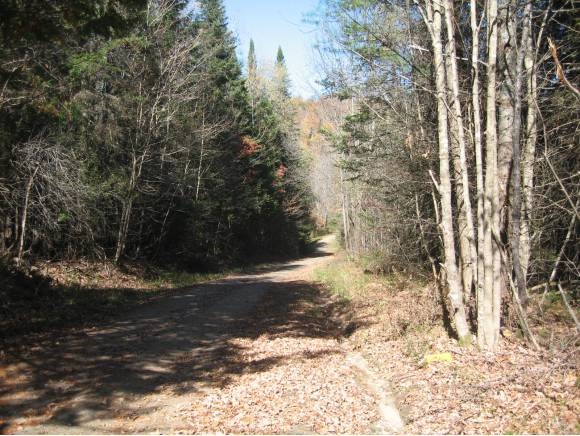 0 Fish Pond Road West Topsham, VT 05086 - Photo 16 of 35