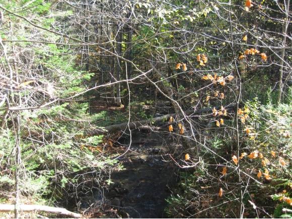 0 Fish Pond Road West Topsham, VT 05086 - Photo 20 of 35