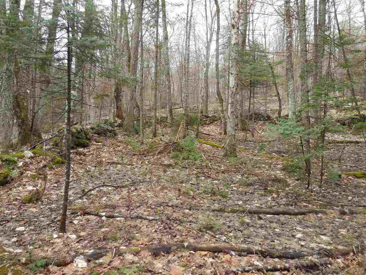 0 Fish Pond Road West Topsham, VT 05086 - Photo 21 of 35