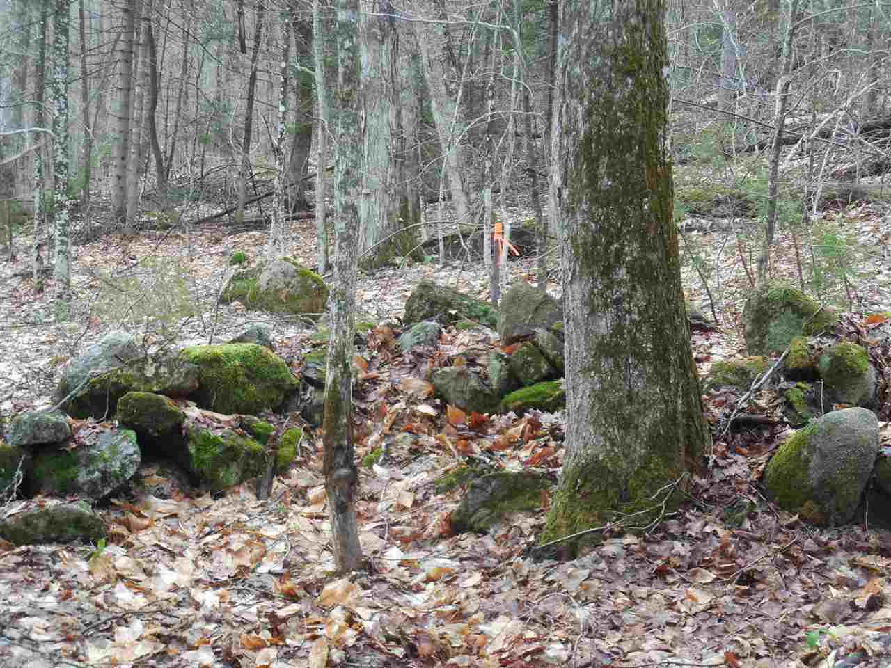 0 Fish Pond Road West Topsham, VT 05086 - Photo 22 of 35