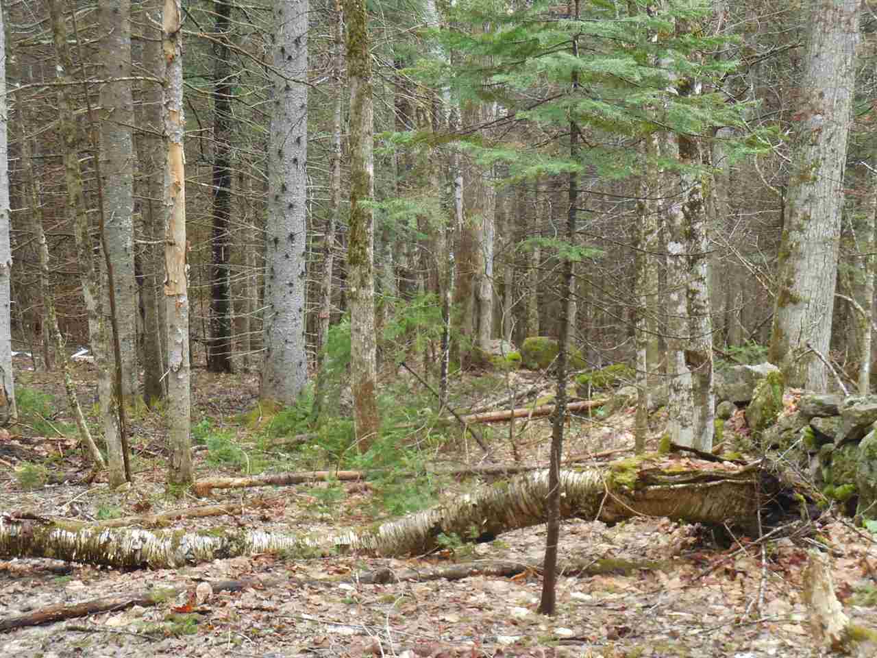 0 Fish Pond Road West Topsham, VT 05086 - Photo 23 of 35