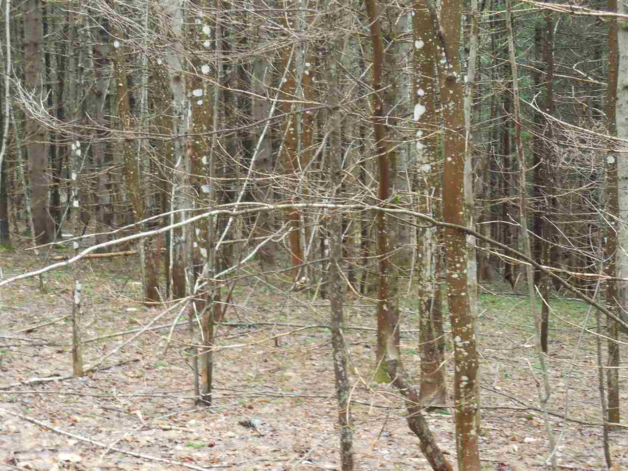 0 Fish Pond Road West Topsham, VT 05086 - Photo 24 of 35