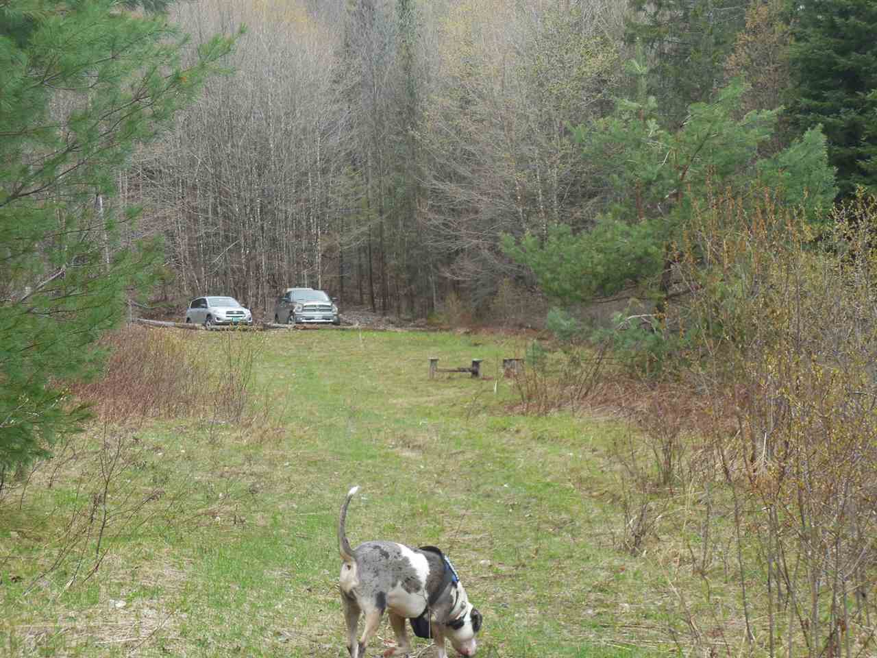 0 Fish Pond Road West Topsham, VT 05086 - Photo 25 of 35