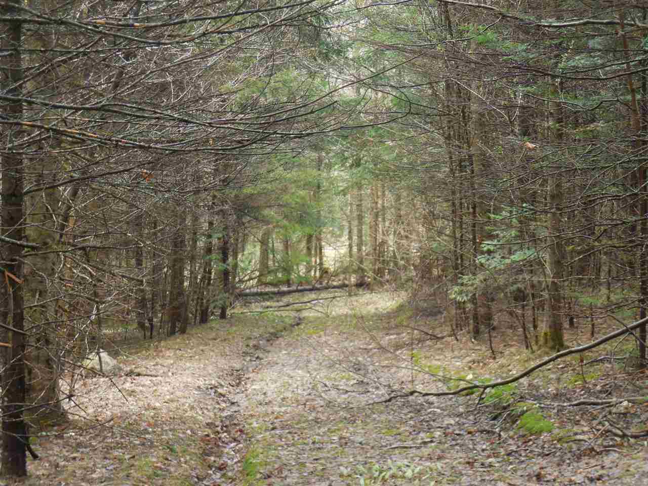 0 Fish Pond Road West Topsham, VT 05086 - Photo 26 of 35