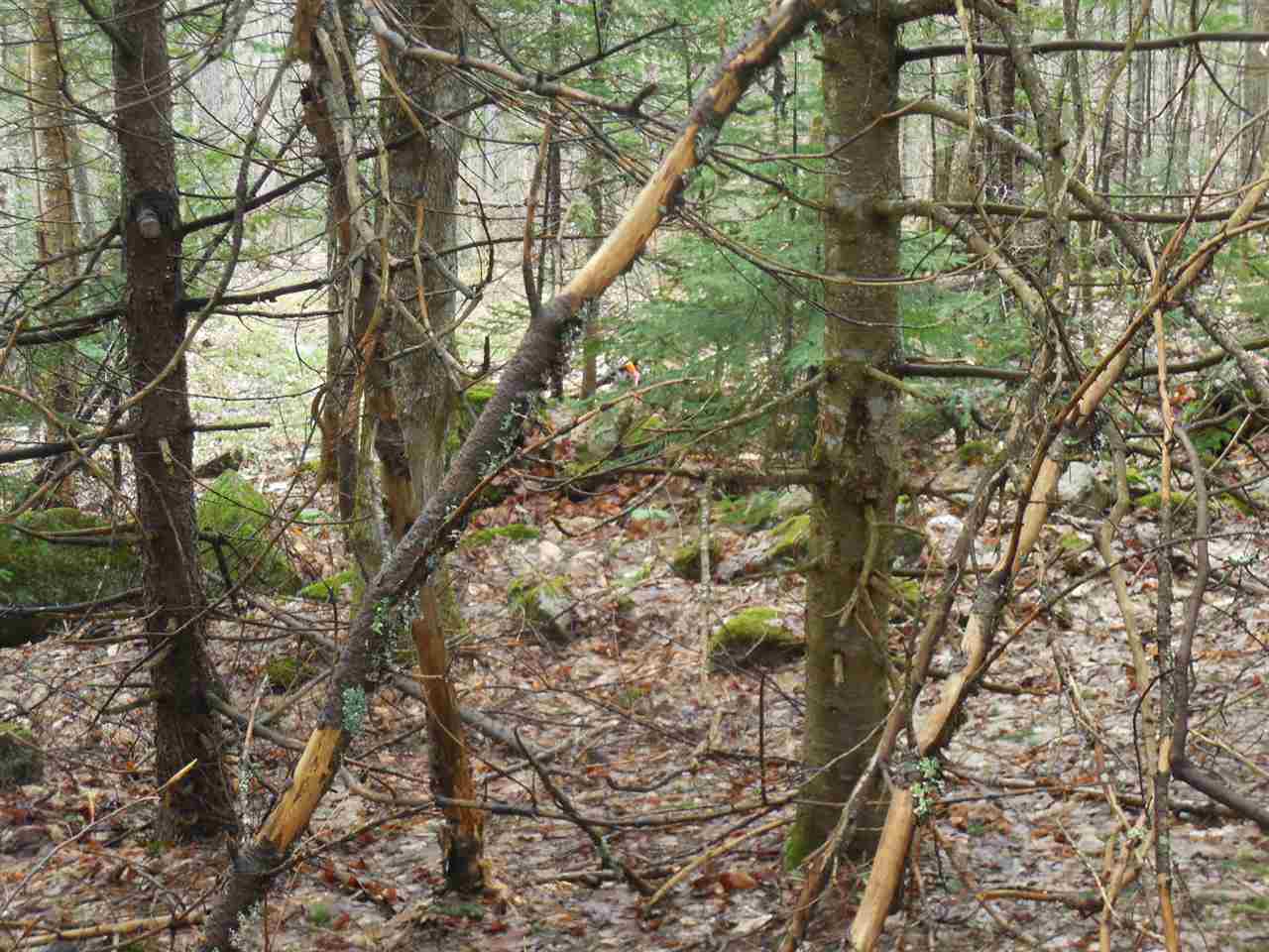 0 Fish Pond Road West Topsham, VT 05086 - Photo 27 of 35