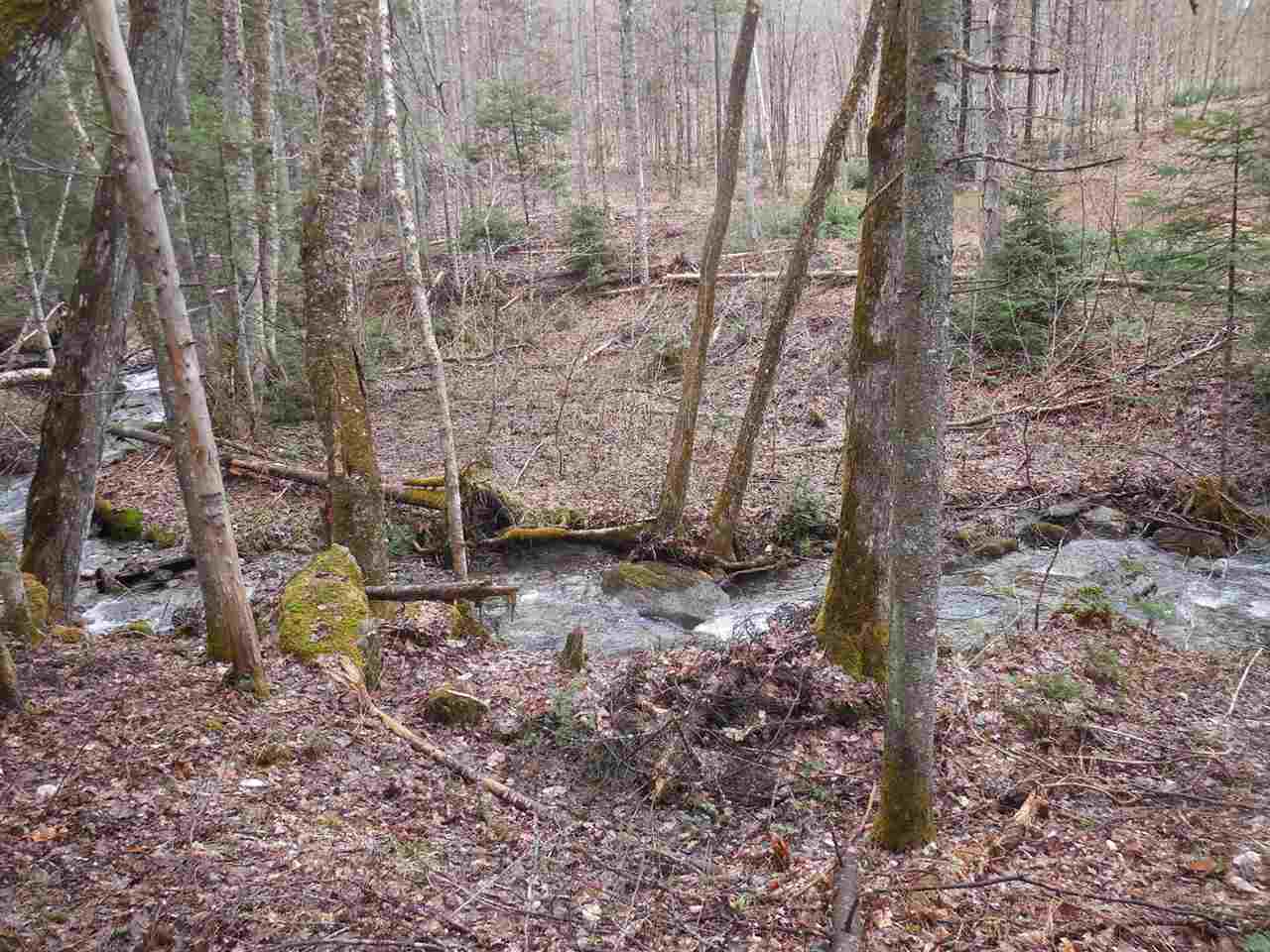 0 Fish Pond Road West Topsham, VT 05086 - Photo 30 of 35