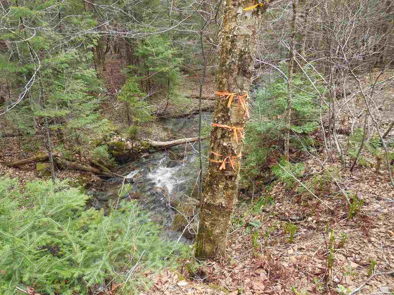 0 Fish Pond Road West Topsham, VT 05086 - Photo 35 of 35