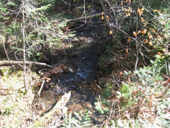 0 Fish Pond Road West Topsham, VT 05086 - Photo 6 of 35
