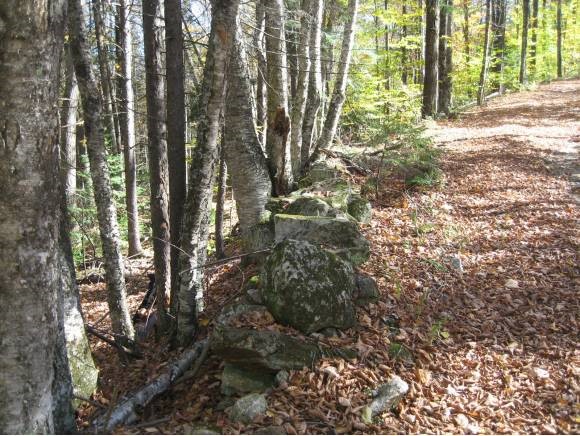 0 Fish Pond Road West Topsham, VT 05086 - Photo 8 of 35