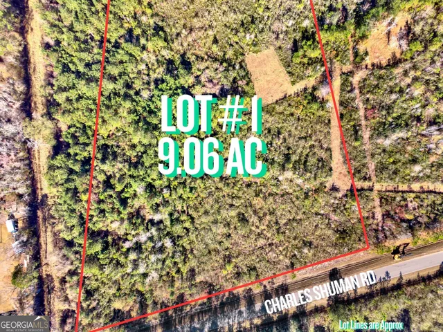 $135,000 | Lot 1 Charles Shuman Road, Pembroke, GA 31321