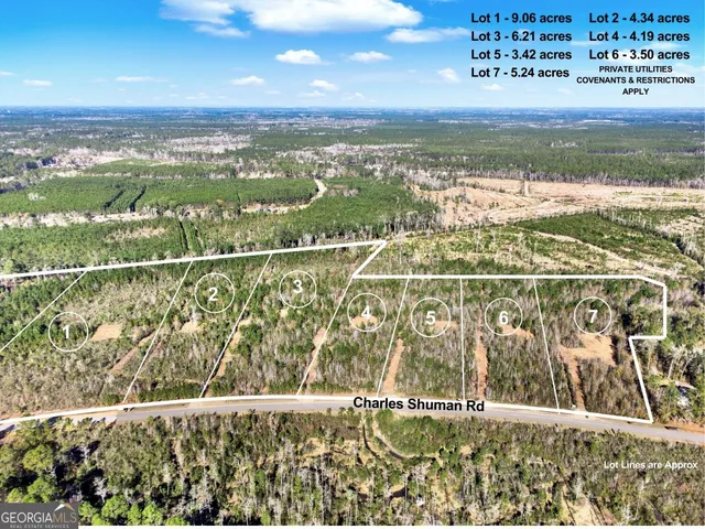 $135,000 | Lot 1 Charles Shuman Road, Pembroke, GA 31321