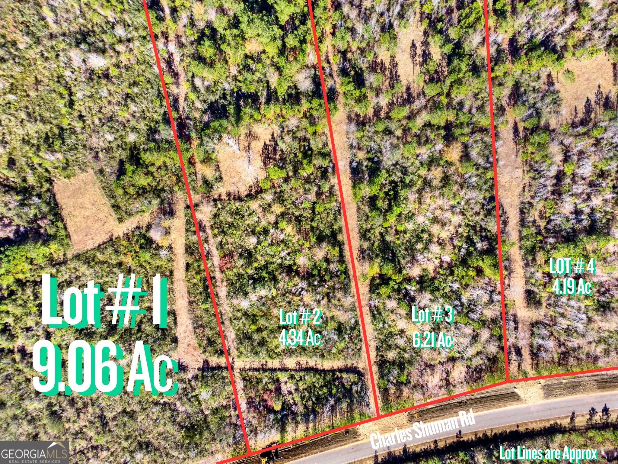 Lot 1 Charles Shuman Road Pembroke, GA 31321 - Photo 2 of 7