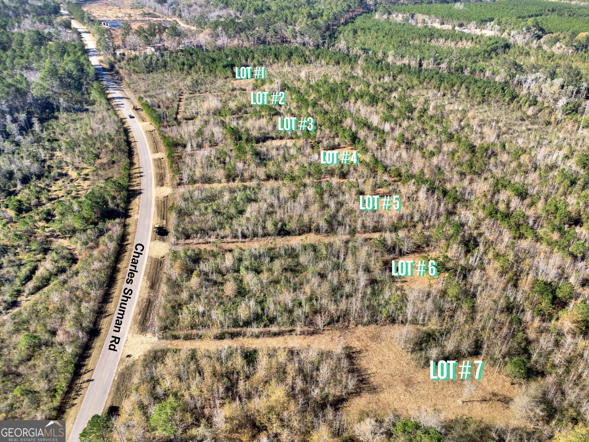 Lot 1 Charles Shuman Road Pembroke, GA 31321 - Photo 3 of 5