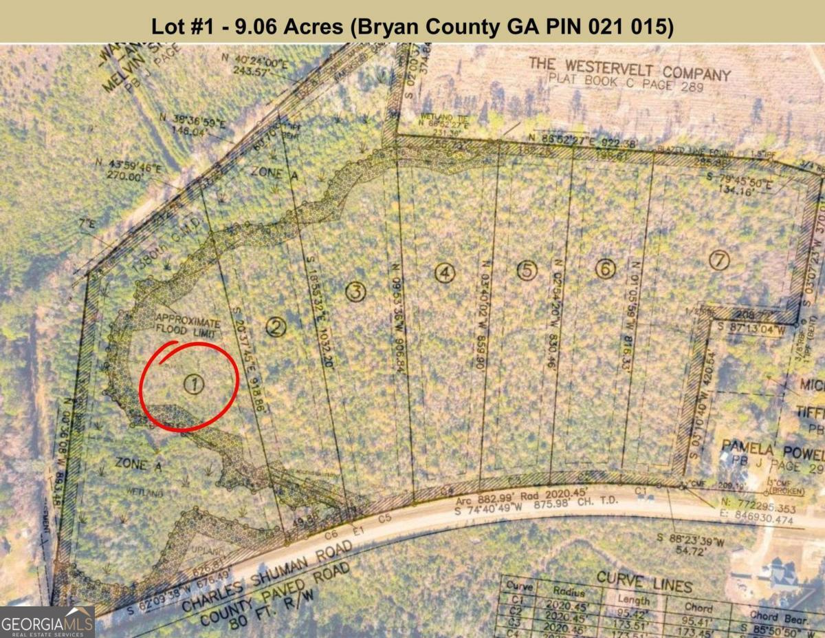 Lot 1 Charles Shuman Road Pembroke, GA 31321 - Photo 4 of 5