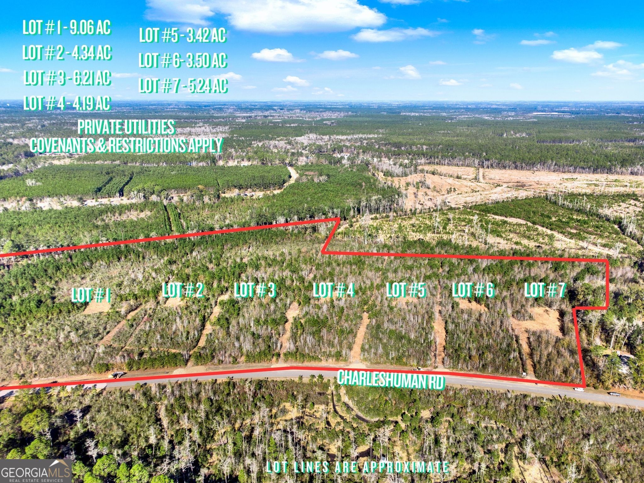 Lot 1 Charles Shuman Road Pembroke, GA 31321 - Photo 5 of 7