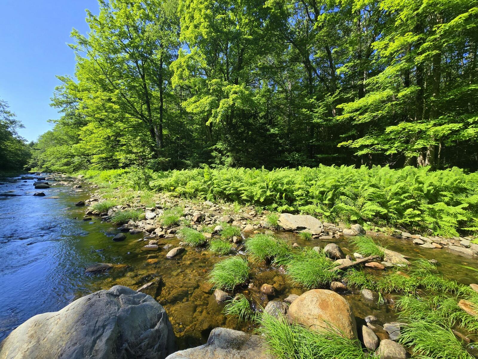 Lot 67 Temple Road Temple, ME 04984 - Photo 31 of 37 20260629_093230
