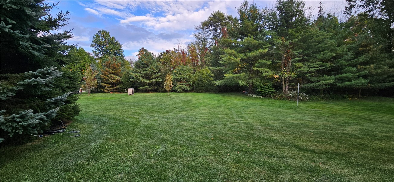 3393 Maple Avenue Marion, NY 14568 - Photo 47 of 50