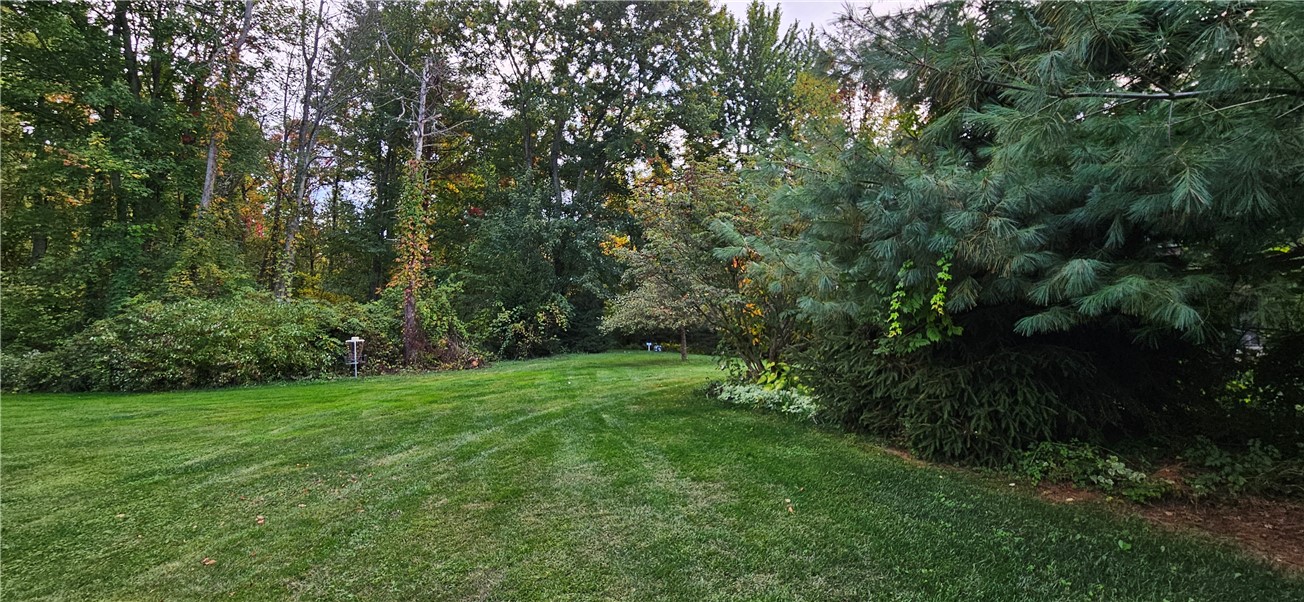 3393 Maple Avenue Marion, NY 14568 - Photo 48 of 50