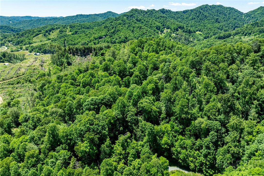 Smith Street Vilas, NC 28692 - Photo 6 of 36