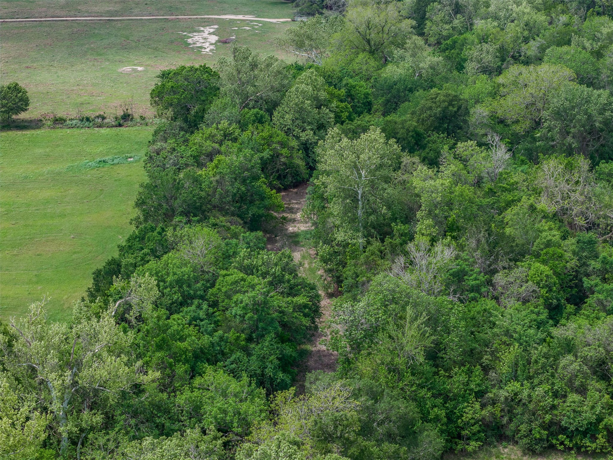 Tbd Bauer Rummel Road Round Top, TX 78954 - Photo 21 of 30