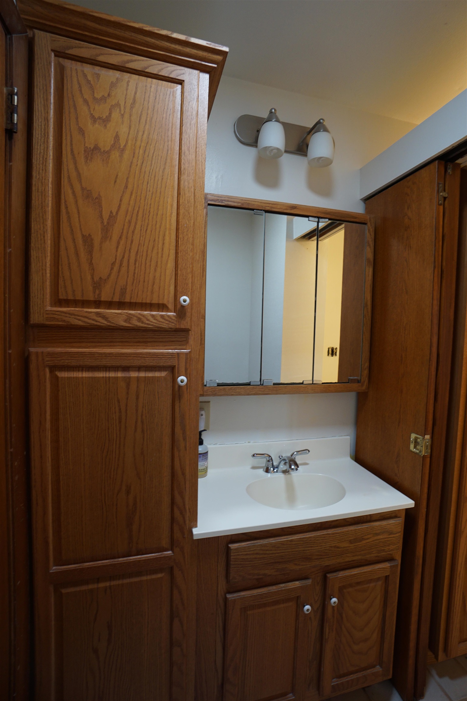 4819 Highcrest Road Rockford, IL 61107 - Photo 25 of 31 a bathroom with a sink and a mirror