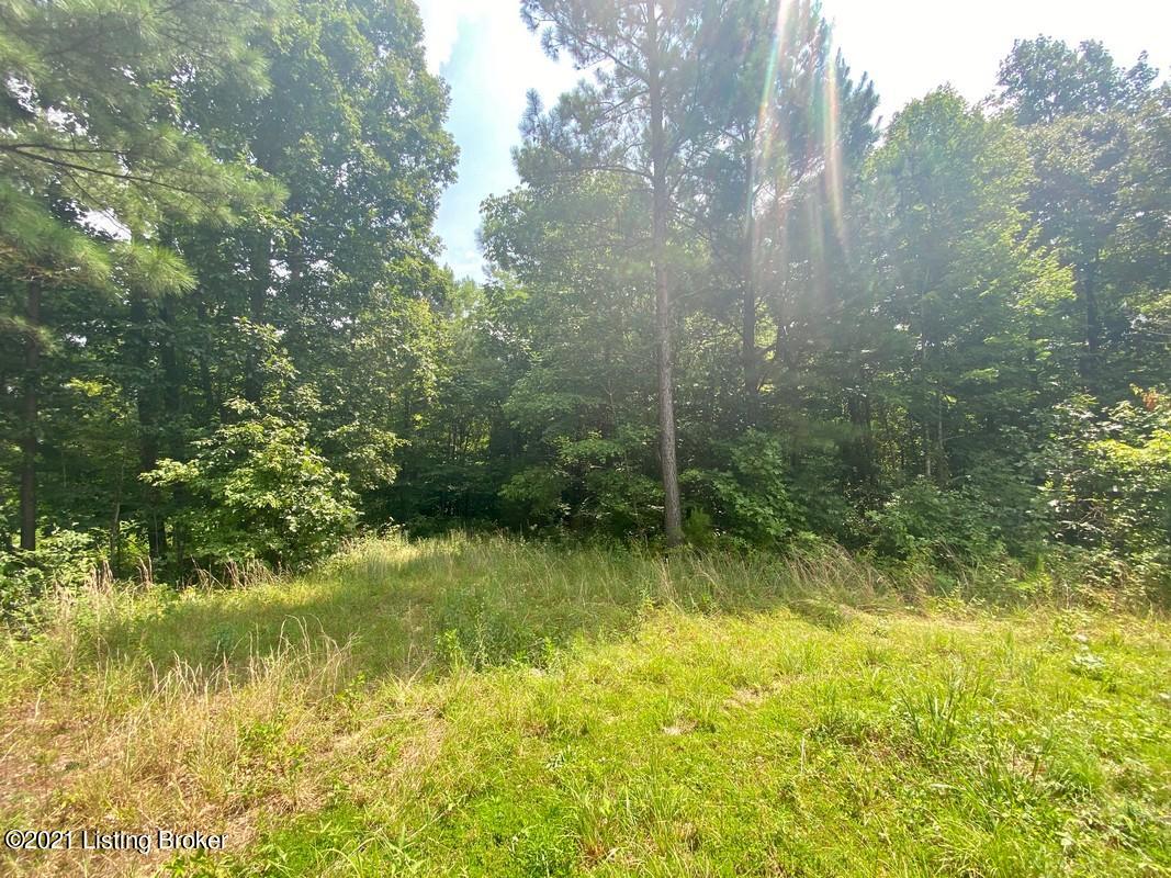 1270 Duvall Road Caneyville, KY 42721 - Photo 44 of 61 1270 Duvall Rd34