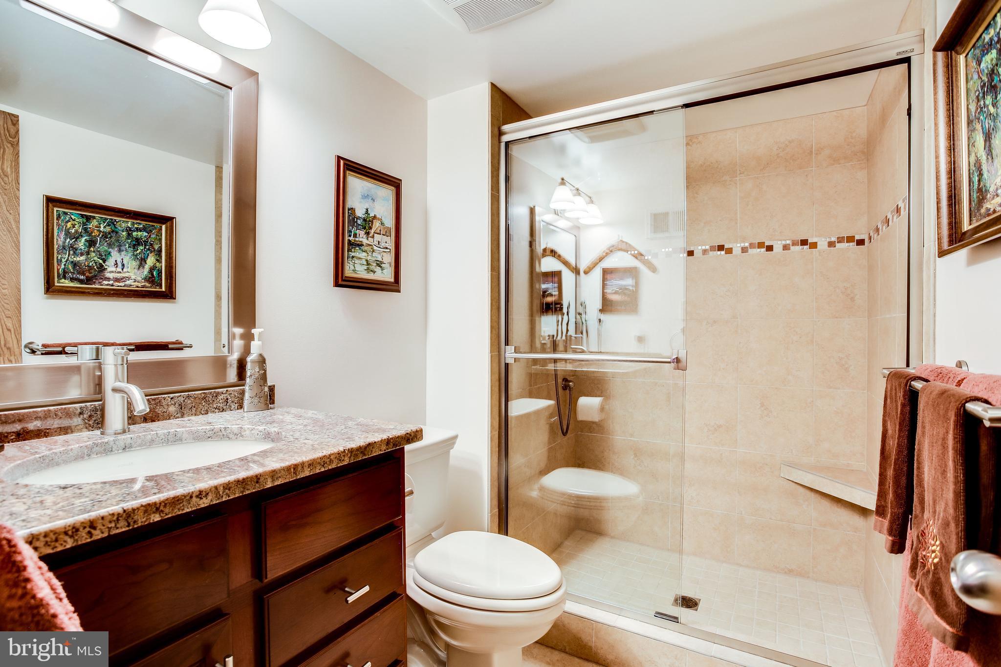 11606 Foxclove Road Reston, VA 20191 - Photo 45 of 80 2nd Master Bedroom with Renovated Private Bath