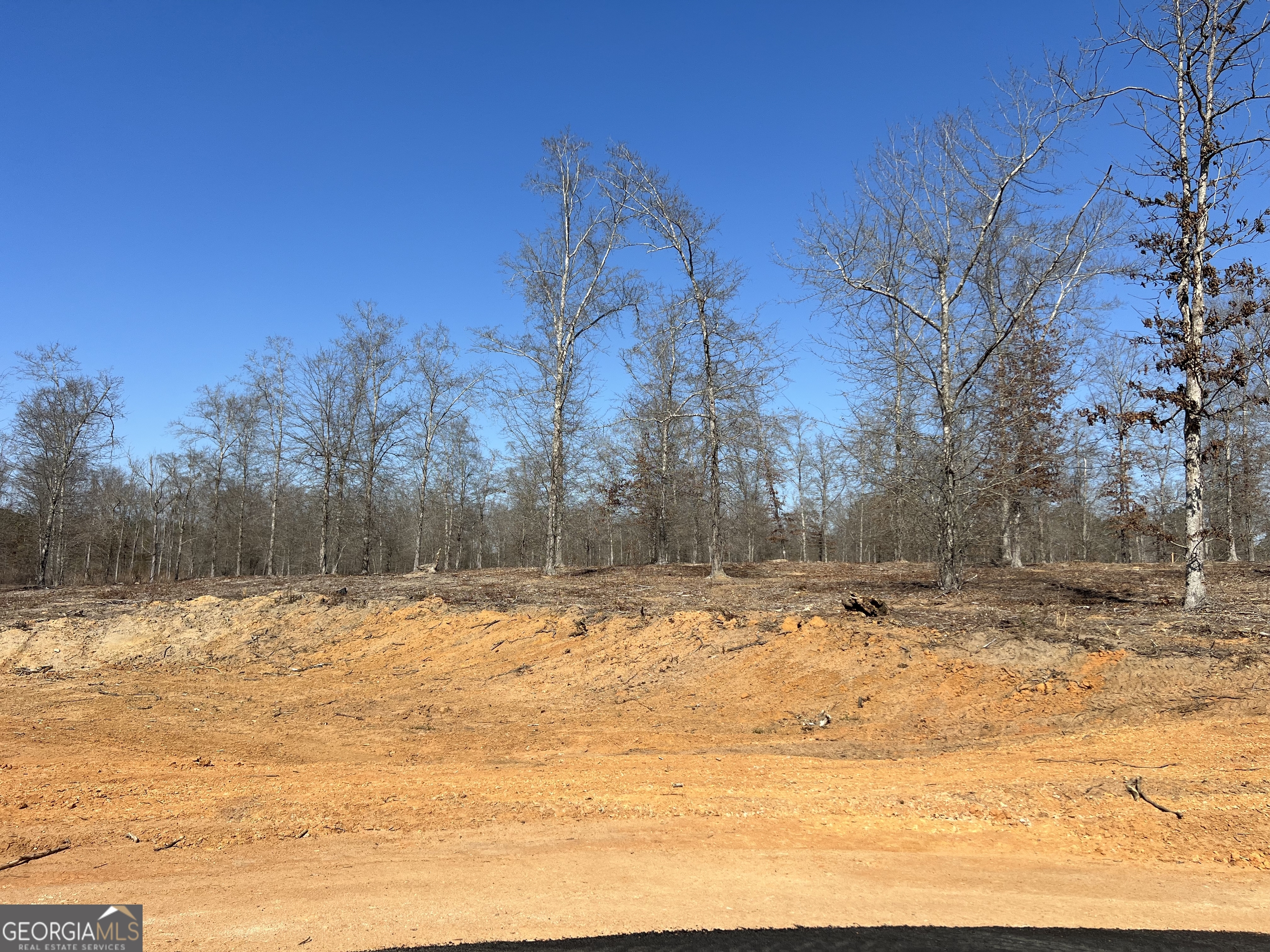 0 Holly Ridge Dublin, GA 31021 - Photo 2 of 6