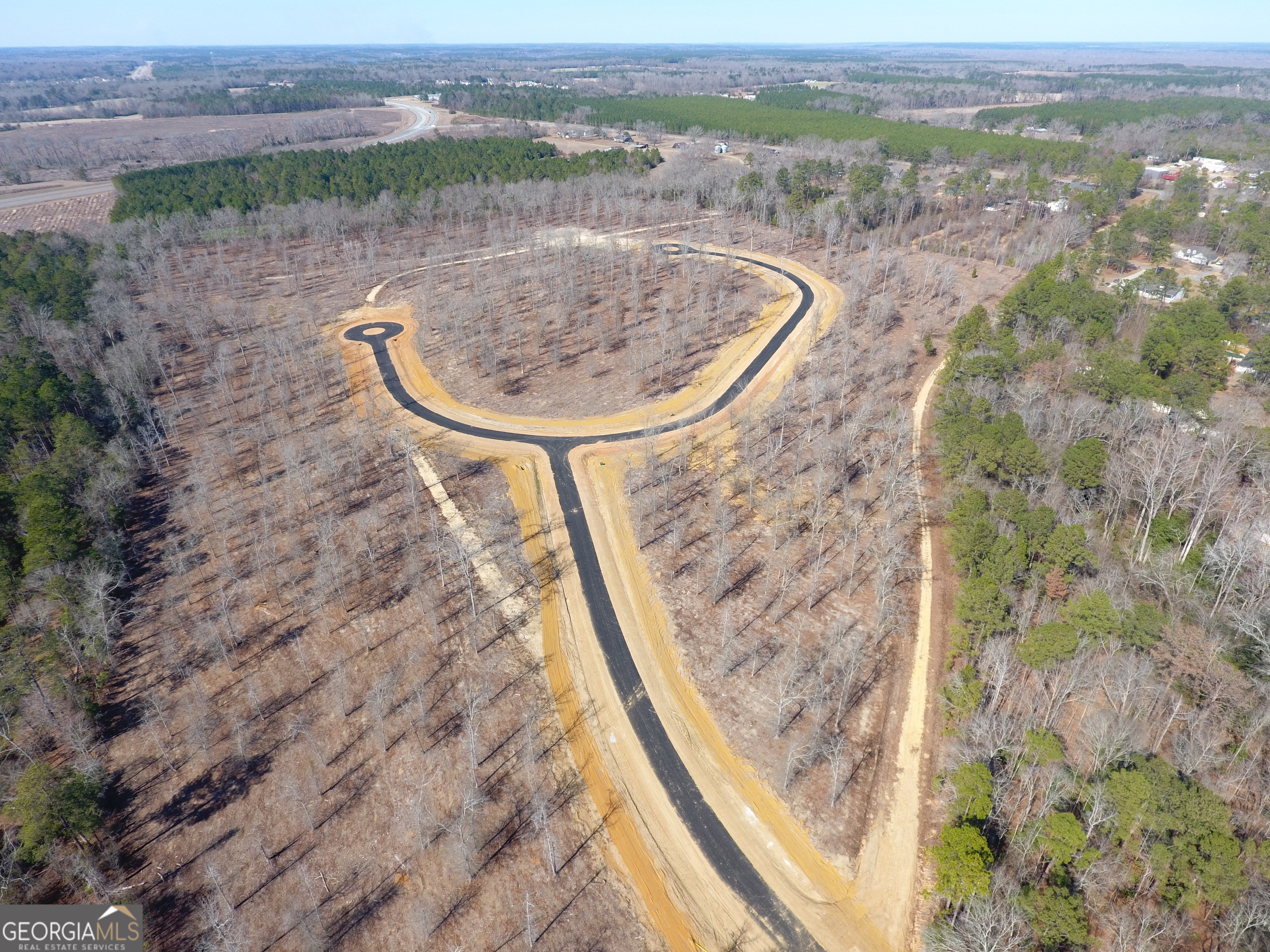 0 Holly Ridge Dublin, GA 31021 - Photo 4 of 6