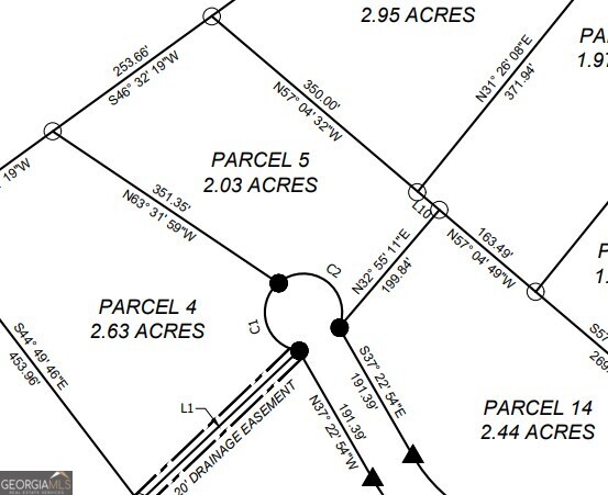 0 Holly Ridge Dublin, GA 31021 - Photo 6 of 6