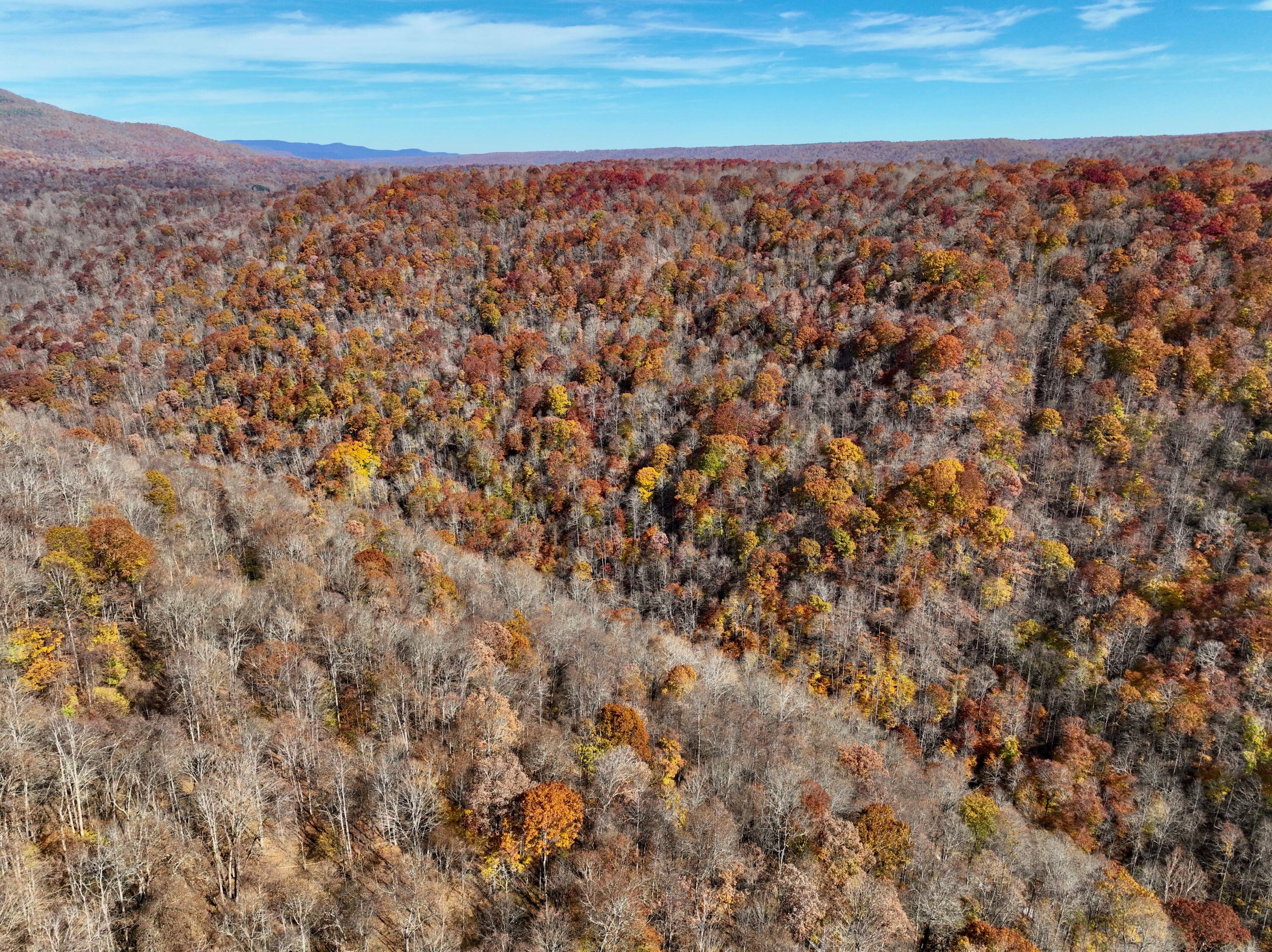 Robins Fork Road Renick, WV 24966 - Photo 3 of 34 Gallery Image 3