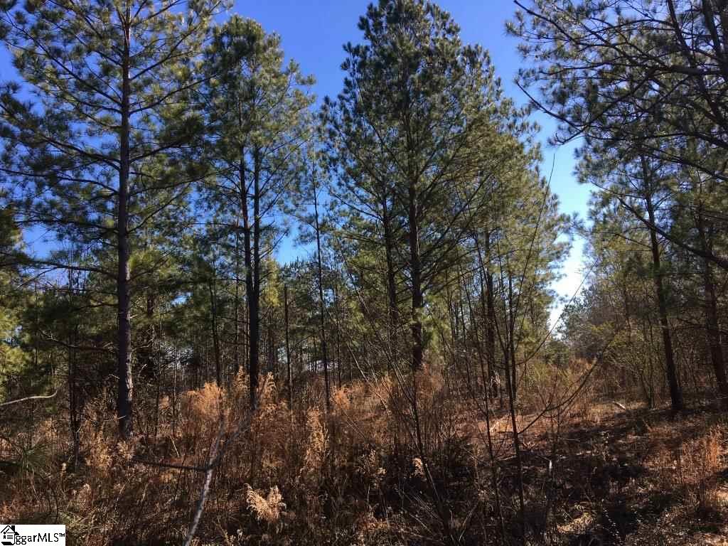 0 Calvery Road Inman, SC 29349 - Photo 2 of 32