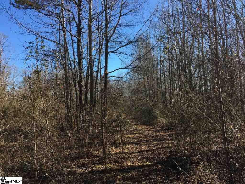 0 Calvery Road Inman, SC 29349 - Photo 13 of 32