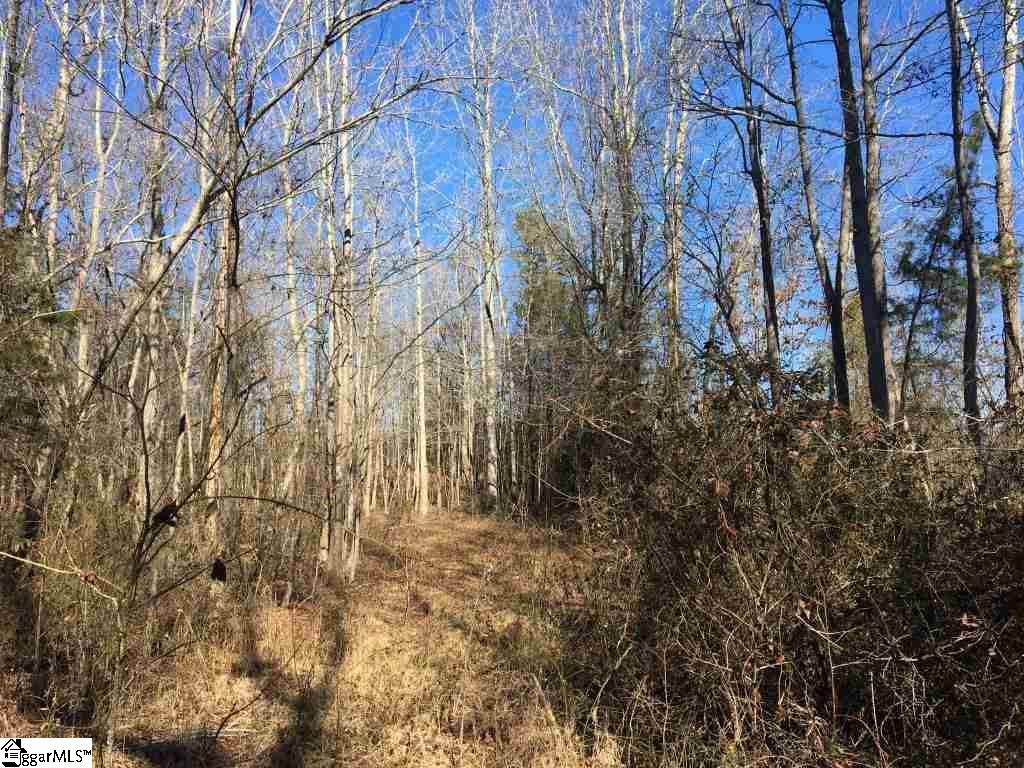 0 Calvery Road Inman, SC 29349 - Photo 17 of 32