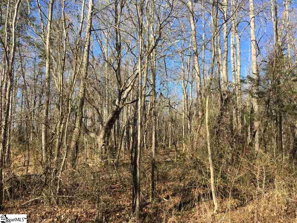 0 Calvery Road Inman, SC 29349 - Photo 18 of 32